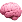 Brain